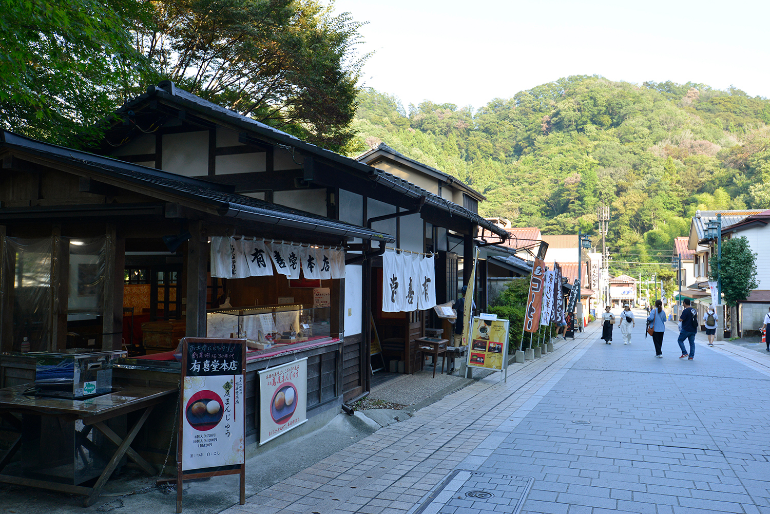 Mt. Takao/Summer cool breeze soba