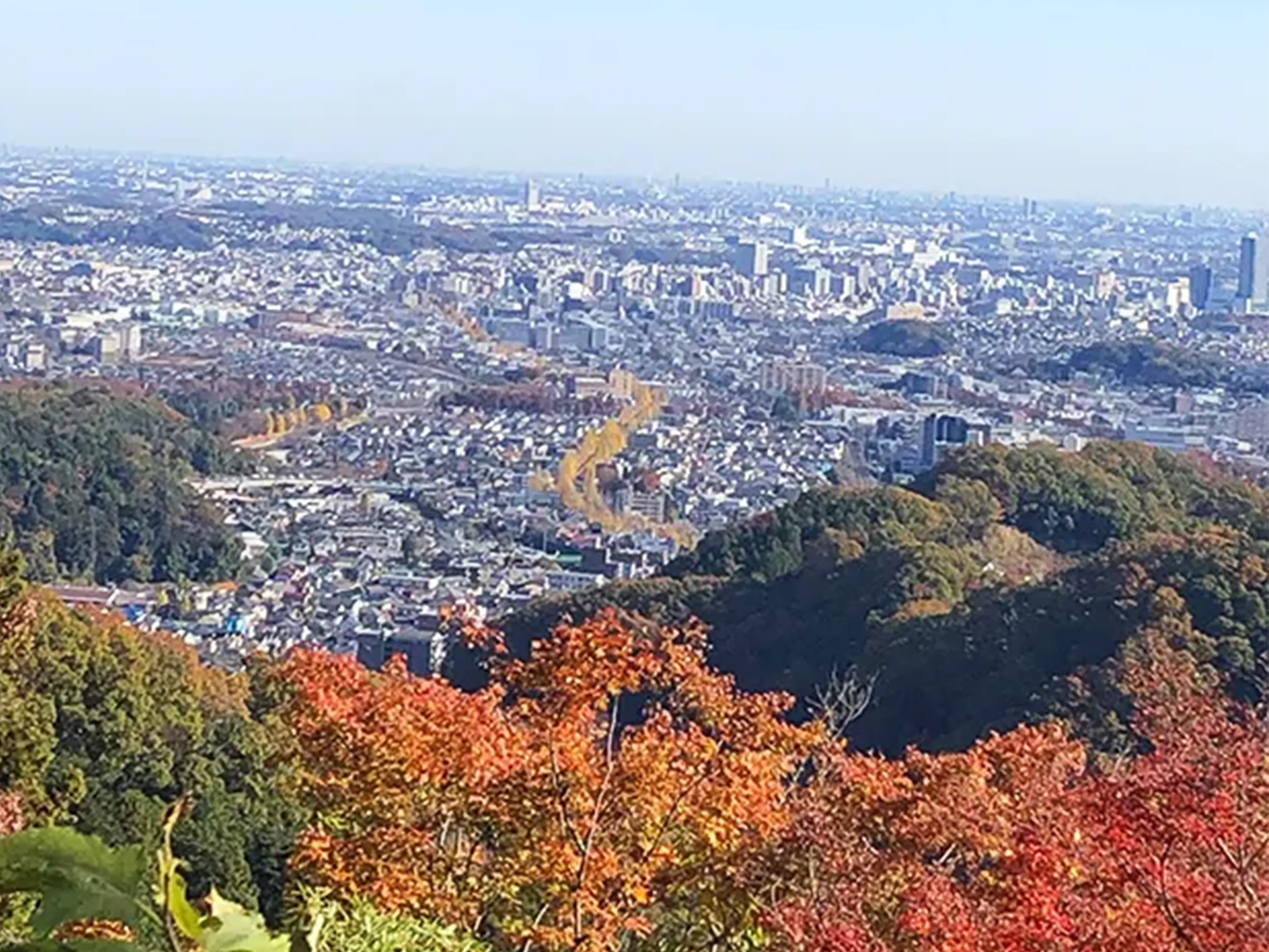 高尾山