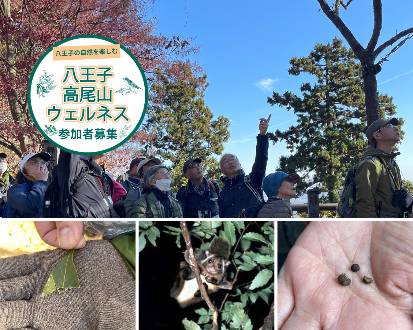 自然観察会「【岡崎弘幸先生と歩く】空飛ぶザブトン！ムササビの滑空を見よう！」