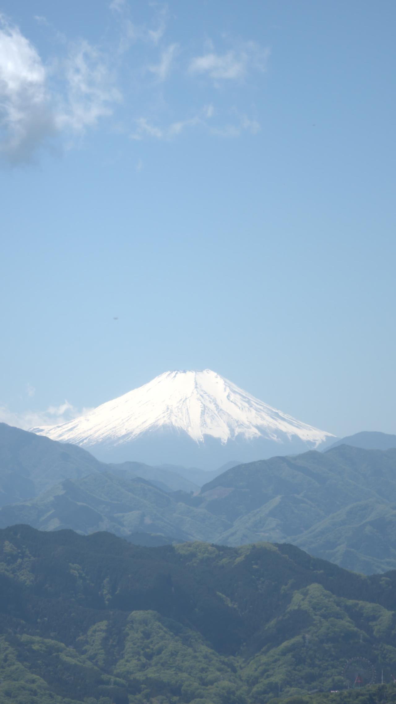 ミステリー⑦○○の代わりに登った高尾山