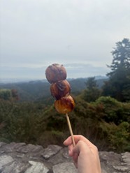 ケーブルカー高尾山駅周辺