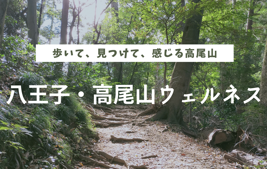 高尾山ハイキングコース