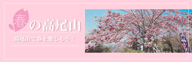 春の高尾山　高尾山で春を楽しもう