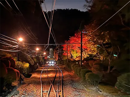 高尾山ケーブルカー沿線ライトアップ
