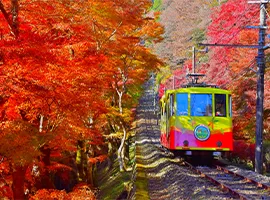 ケーブルカー沿線