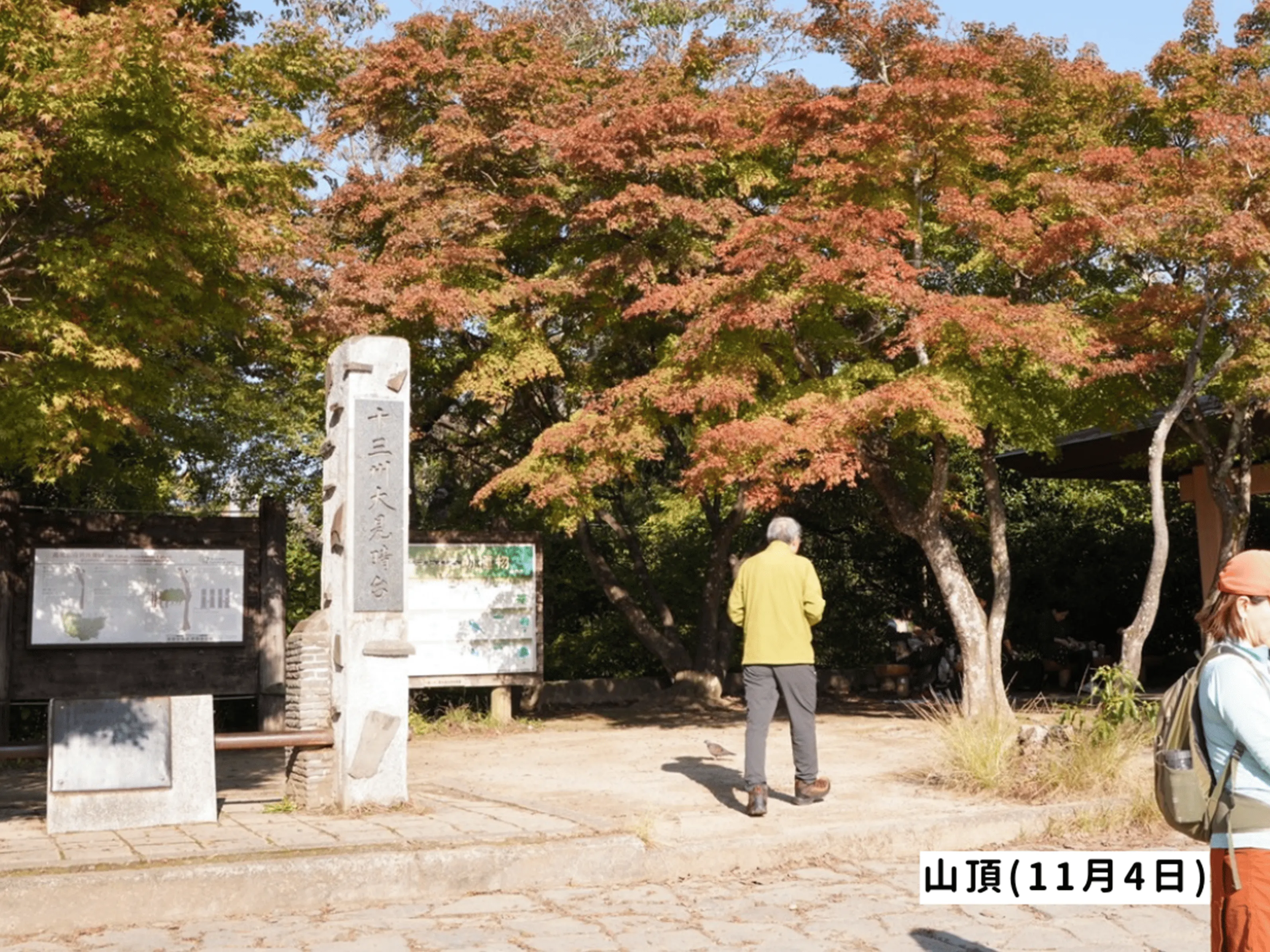 高尾山の紅葉の見ごろは11月中旬から12月上旬です