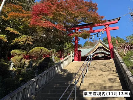 高尾山の紅葉の見ごろは11月中旬から12月上旬です