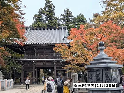 高尾山の紅葉の見ごろは11月中旬から12月上旬です