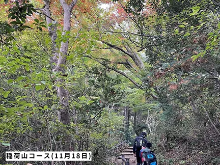 高尾山の紅葉の見ごろは11月中旬から12月上旬です