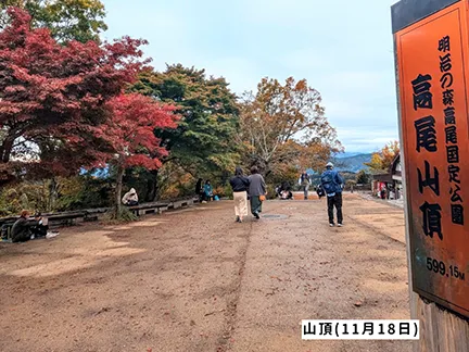 高尾山の紅葉の見ごろは11月中旬から12月上旬です