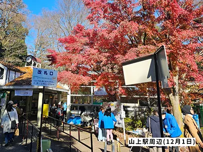 高尾山の紅葉の見ごろは11月中旬から12月上旬です