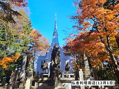 高尾山の紅葉の見ごろは11月中旬から12月上旬です