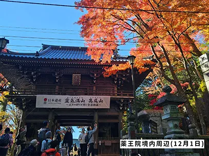 高尾山の紅葉の見ごろは11月中旬から12月上旬です