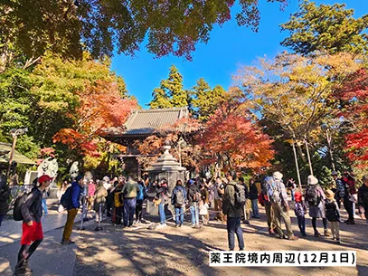 高尾山の紅葉の見ごろは11月中旬から12月上旬です