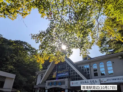 高尾山の紅葉の見ごろは11月中旬から12月上旬です