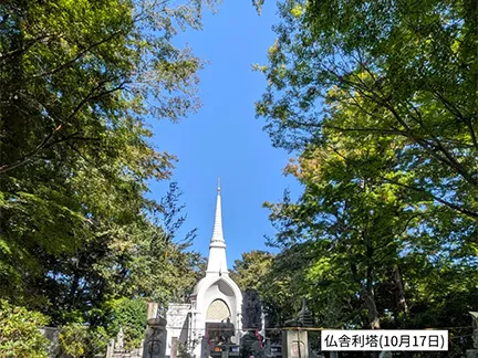 高尾山の紅葉の見ごろは11月中旬から12月上旬です