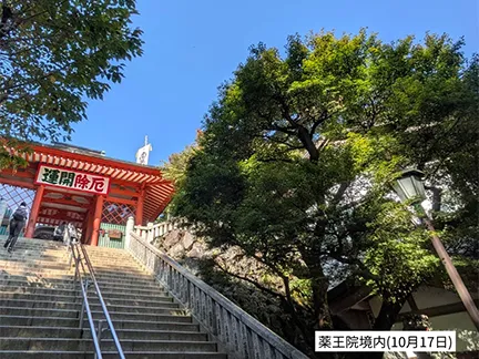 高尾山の紅葉の見ごろは11月中旬から12月上旬です