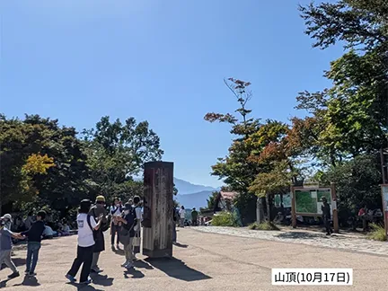 高尾山の紅葉の見ごろは11月中旬から12月上旬です