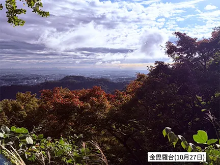 高尾山の紅葉の見ごろは11月中旬から12月上旬です