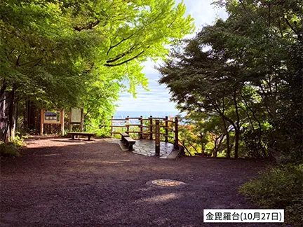 高尾山の紅葉の見ごろは11月中旬から12月上旬です