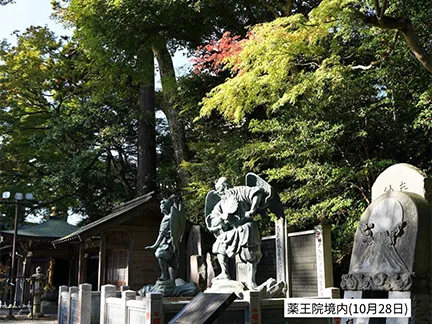 高尾山の紅葉の見ごろは11月中旬から12月上旬です