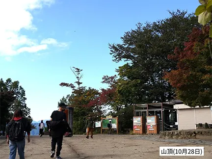 高尾山の紅葉の見ごろは11月中旬から12月上旬です