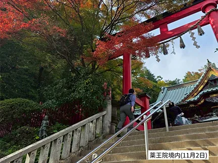 高尾山の紅葉の見ごろは11月中旬から12月上旬です