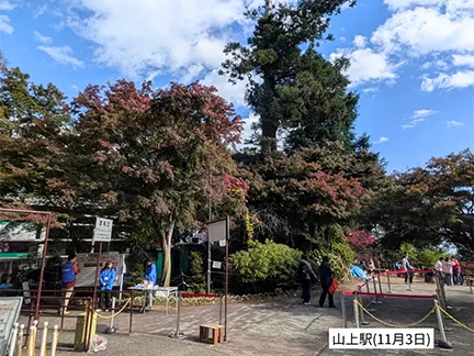 高尾山の紅葉の見ごろは11月中旬から12月上旬です