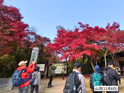 高尾山の紅葉の見ごろは11月中旬から12月上旬です