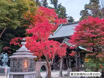 高尾山の紅葉の見ごろは11月中旬から12月上旬です