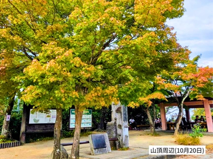 高尾山の紅葉の見ごろは11月中旬から12月上旬です