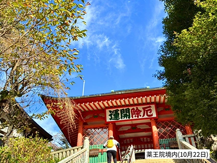 高尾山の紅葉の見ごろは11月中旬から12月上旬です